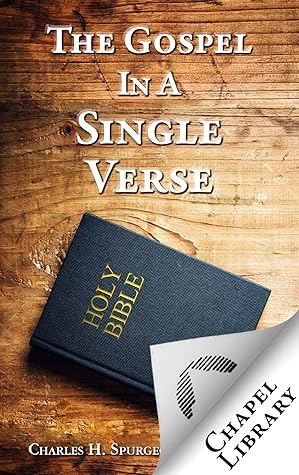 The Gospel in a Single Verse
