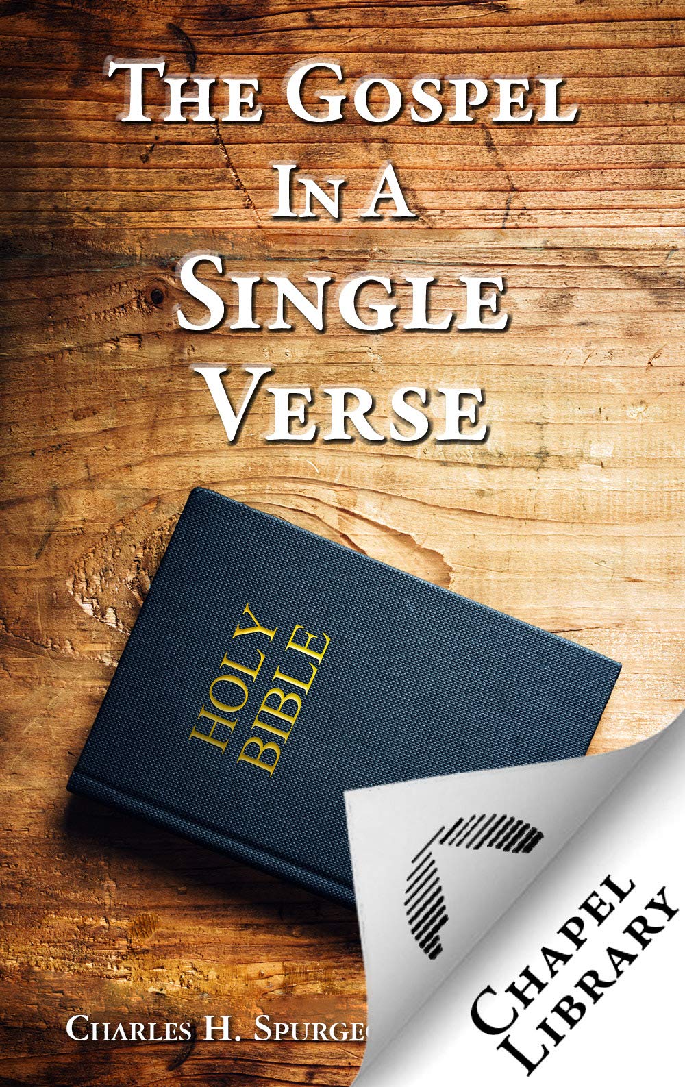 The Gospel in a Single Verse (Kindle Edition)