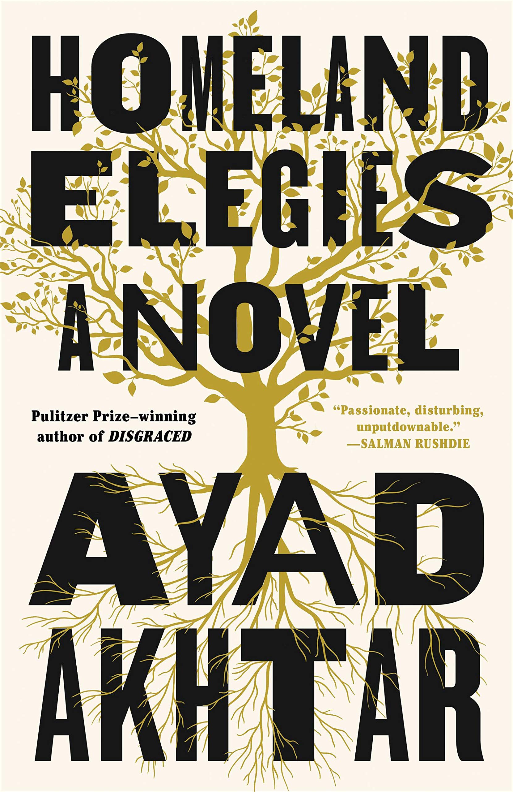Homeland Elegies: A Novel