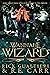 Wannabe Wizard: From the Tome of Bill Universe (False Icons #2)