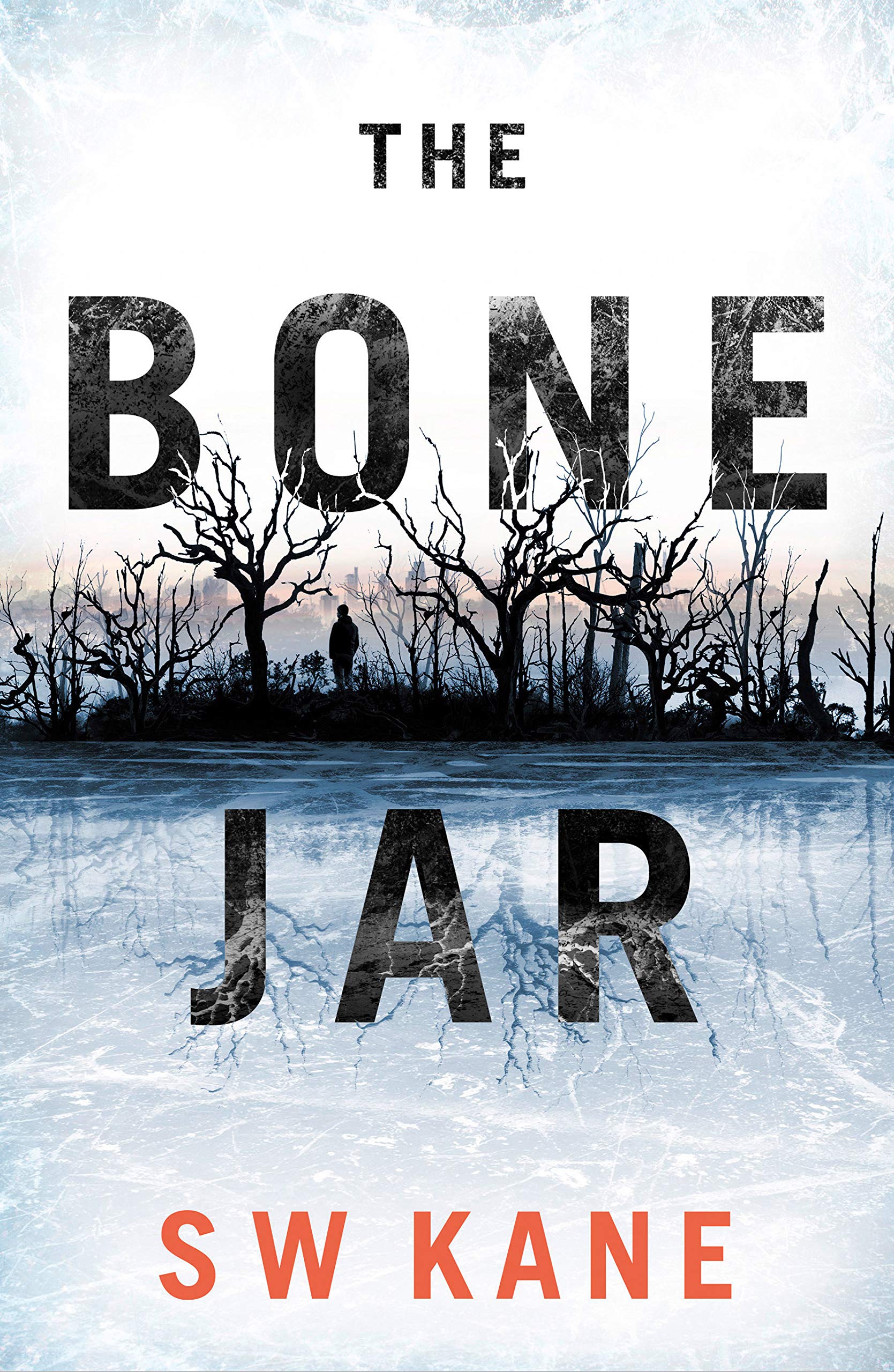 The Bone Jar (Detective Lew Kirby, #1)