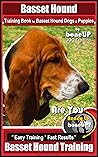 Basset Hound Trai...