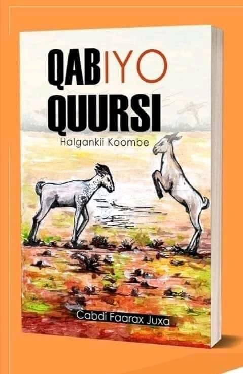 QAB IYO QUURSI (Hardcover)