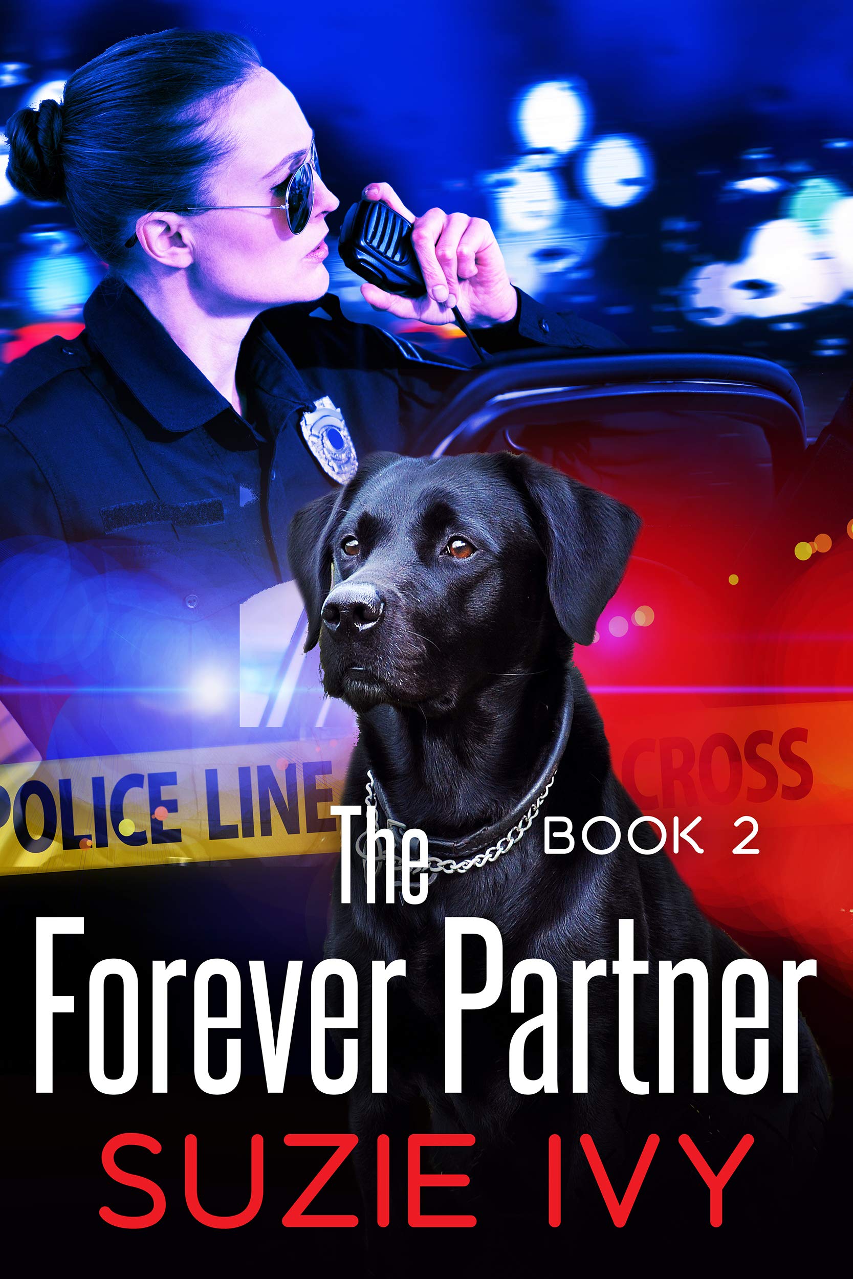 The Forever Partner (A Laci Jolett Mystery Book 2)