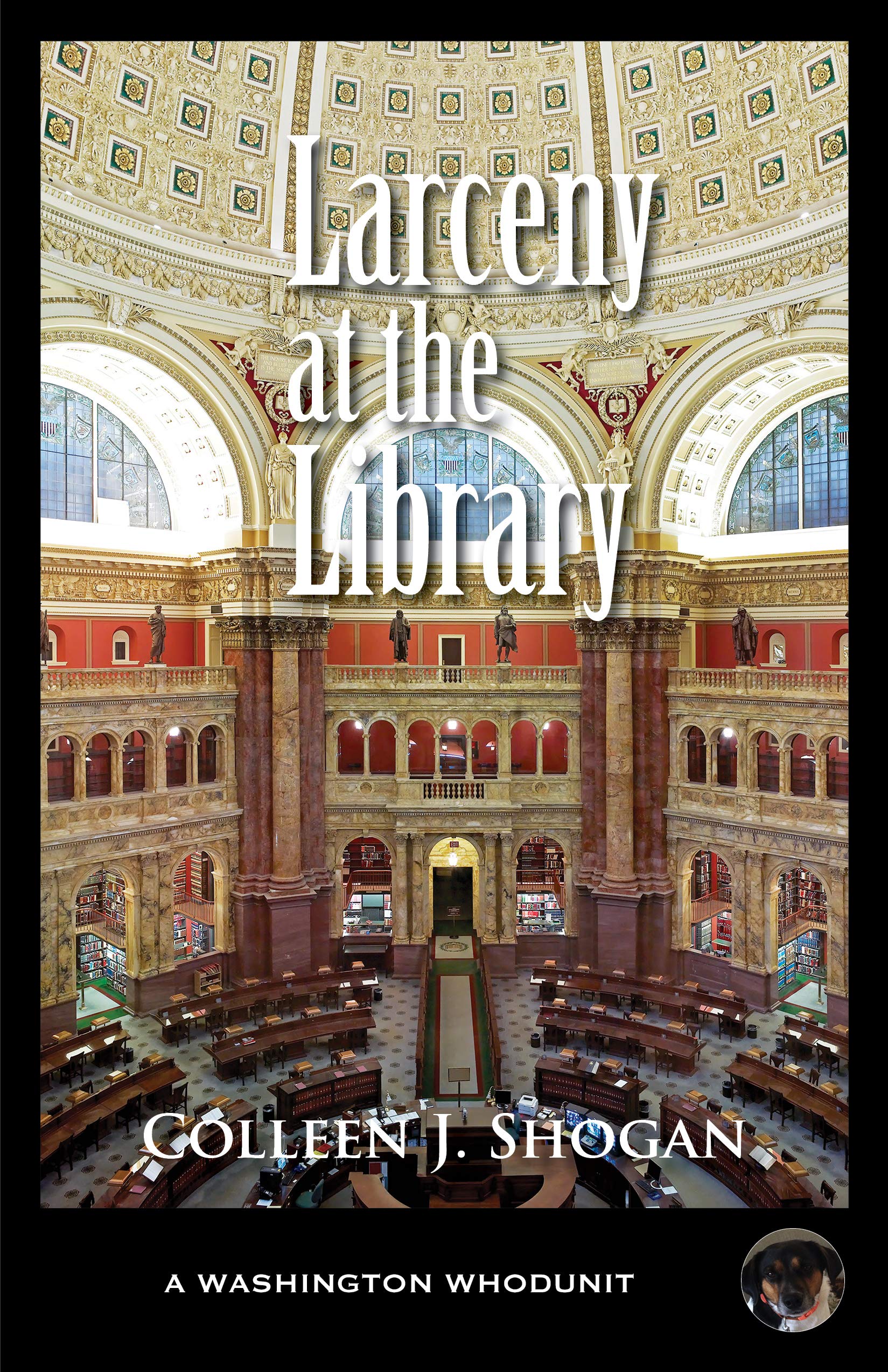 Larceny at the Library (Washington Whodunit, #6)