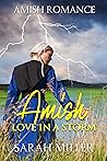 Amish Love in a S...