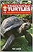 30 Amazing Facts About Turt...