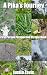 A Pika's Journey by Justin Zavis