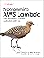 Programming AWS Lambda: Bui...