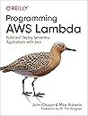 Programming AWS L...