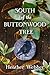South of the Buttonwood Tree