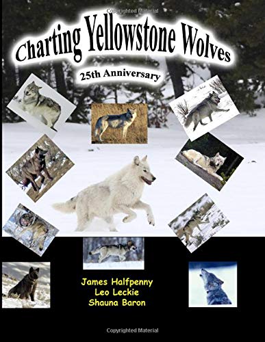 Charting Yellowstone Wolves (Paperback)