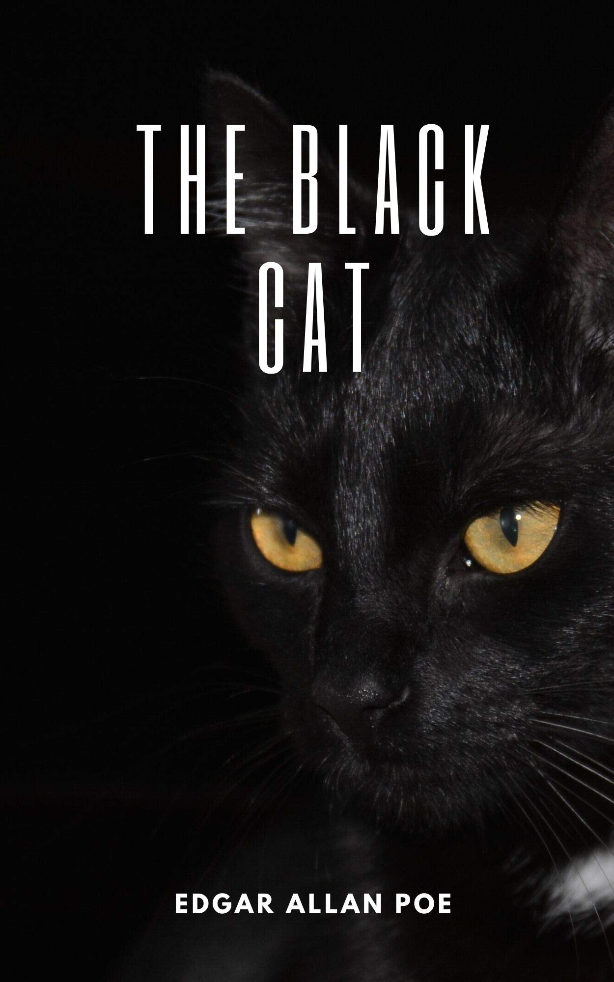 The Black Cat