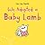 We Adopted a Baby Lamb