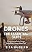 Drones by Lisa Gosling