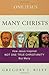 One Jesus, Many Christs  by Gregory J. Riley