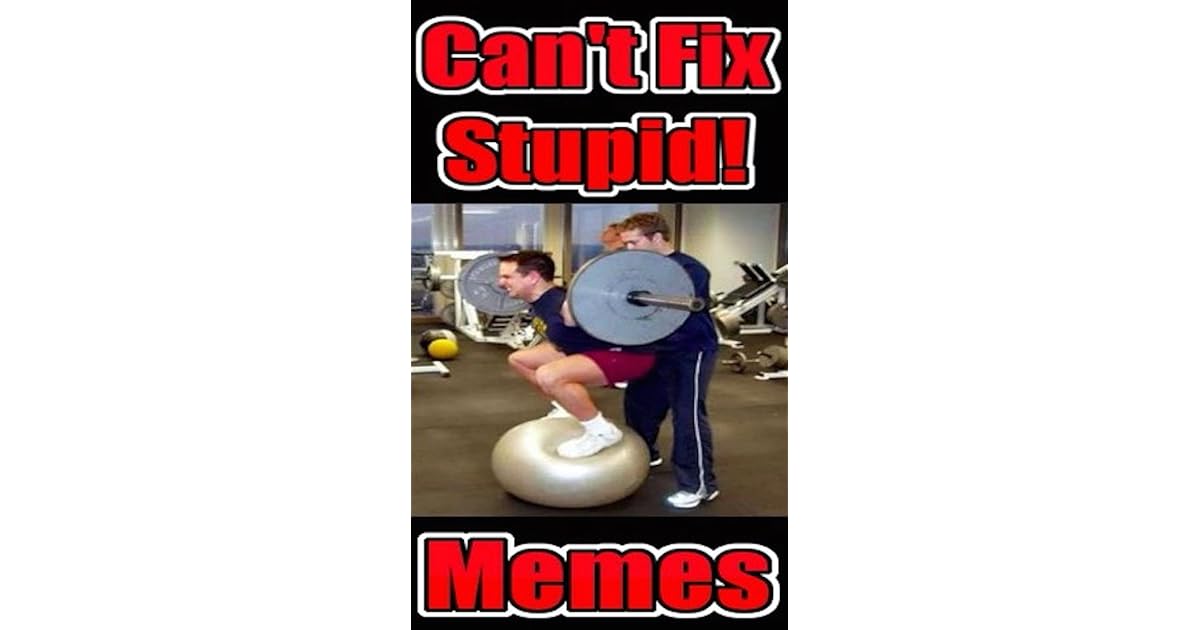 Memes You Can't Fix Stupid Funny Memes And Mad Mayhem Jokes And