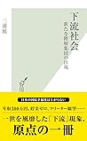 下流社会～新たな階層集団の出現～ (光文社新書) (Japanese Edition)
