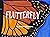 Flutterfly