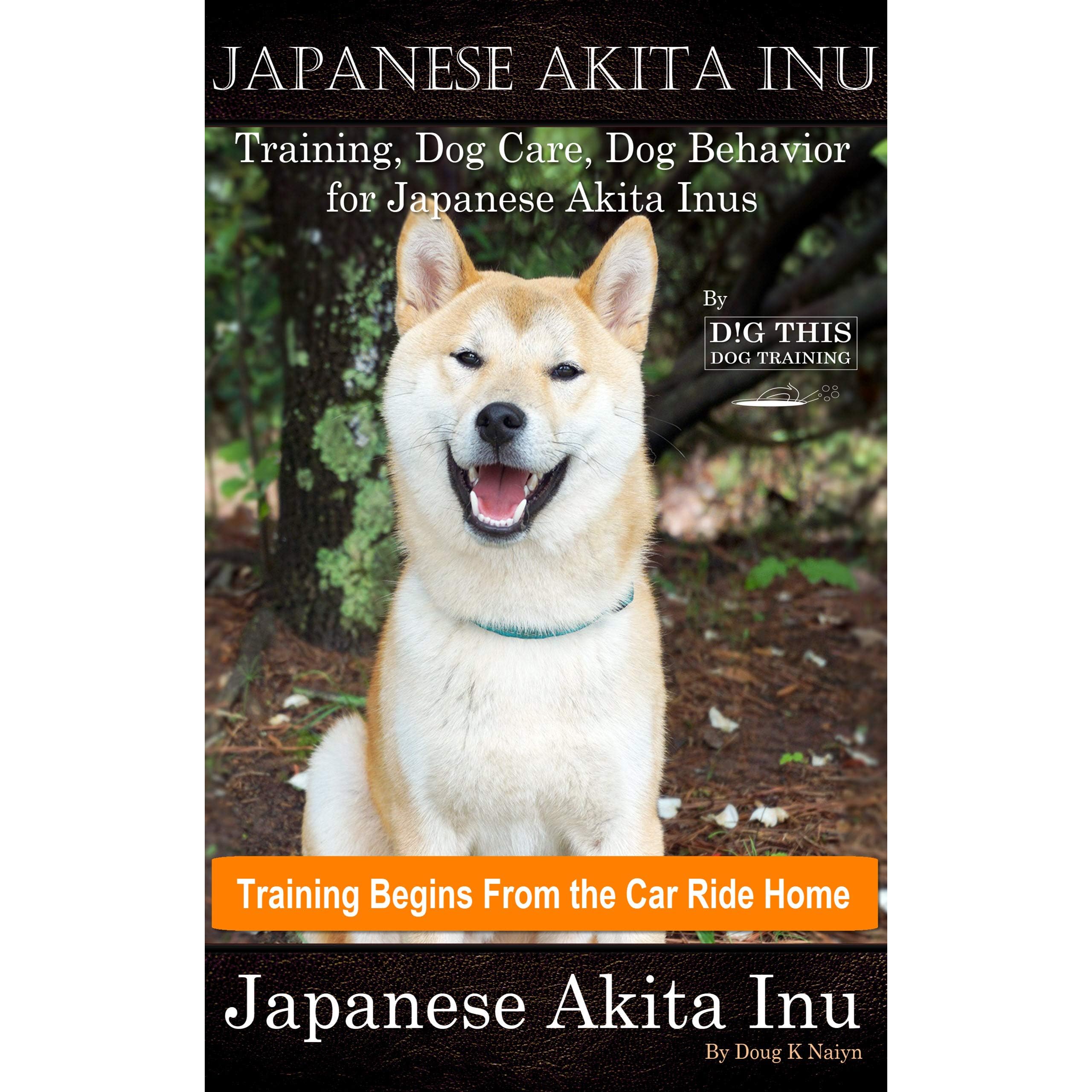japanese akita training