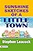 Sunshine Sketches of a Little Town by Stephen Leacock