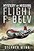 Mystery of Missing Flight F...