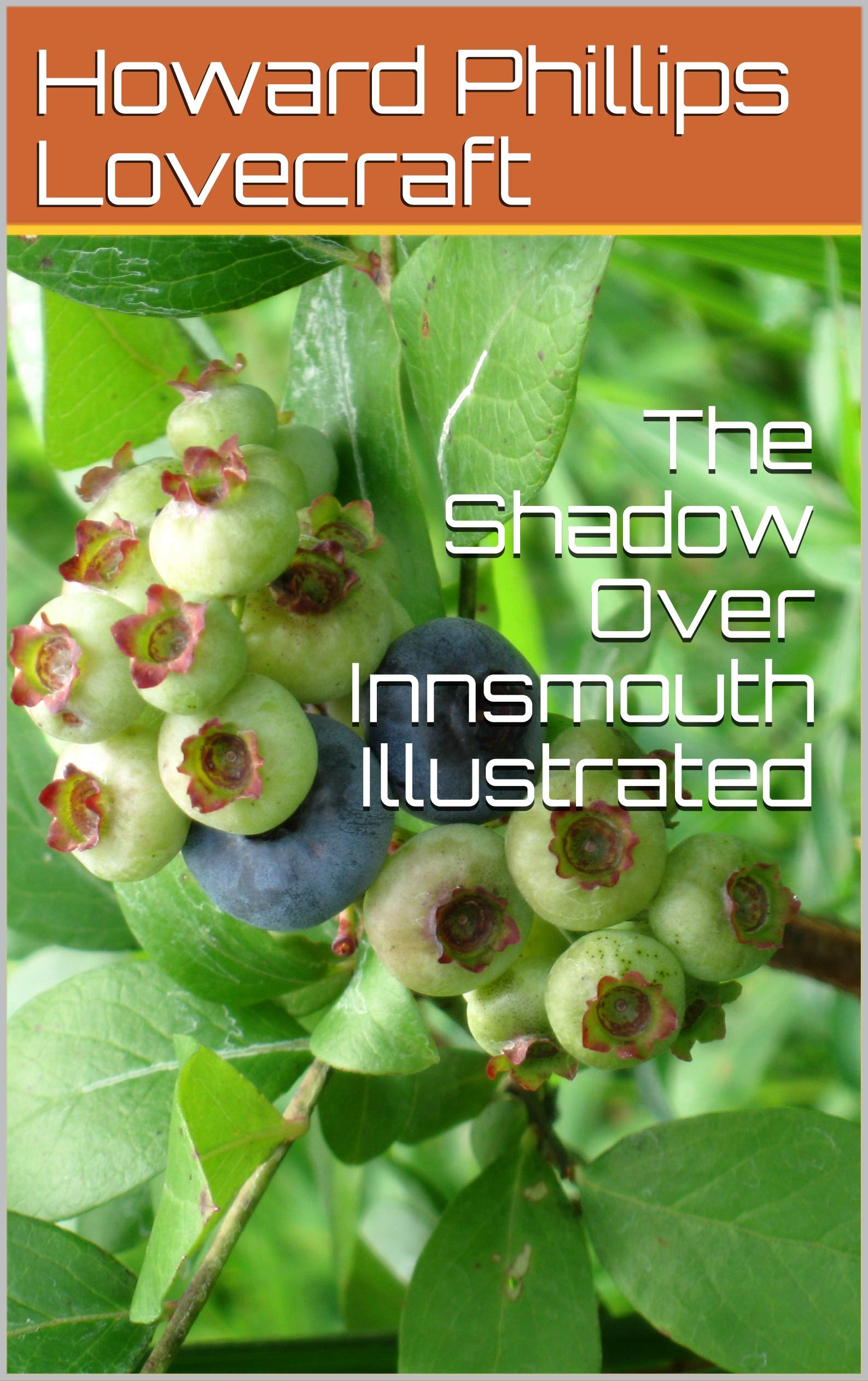 The Shadow Over Innsmouth Illustrated