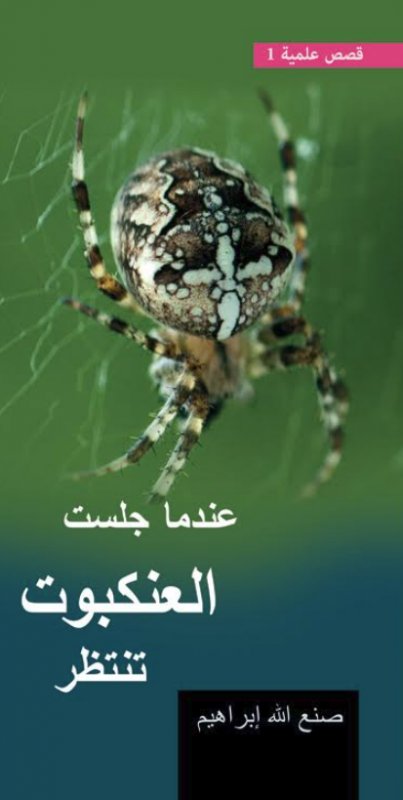عندما جلست العنكبوت تنتظر (Paperback)