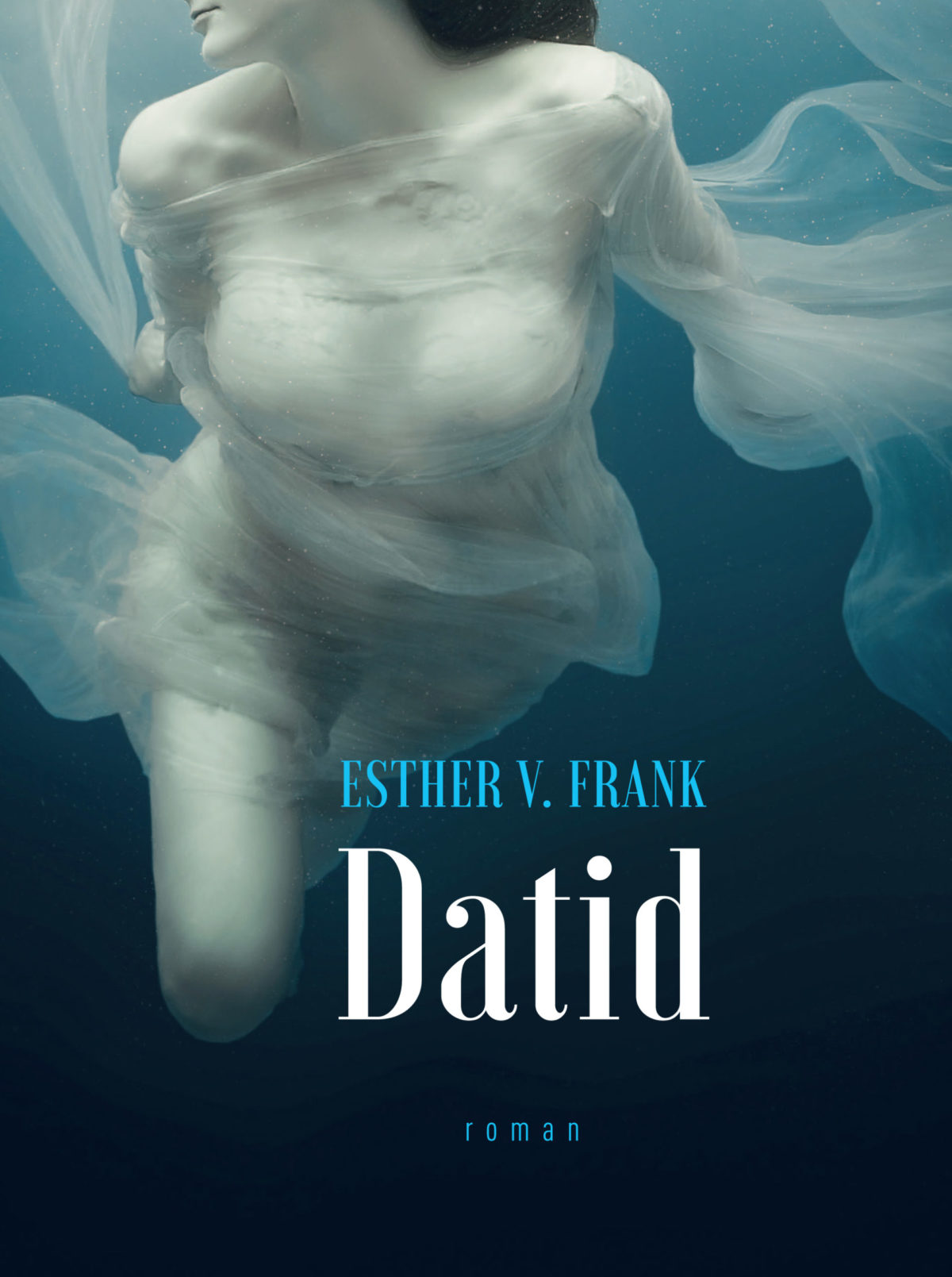 Datid (Paperback)