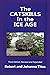The Catskills in the Ice Age by Robert Titus