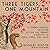 Three Tigers, One Mountain: A Journey Through the Bitter History and Current Conflicts of China, Korea, and Japan
