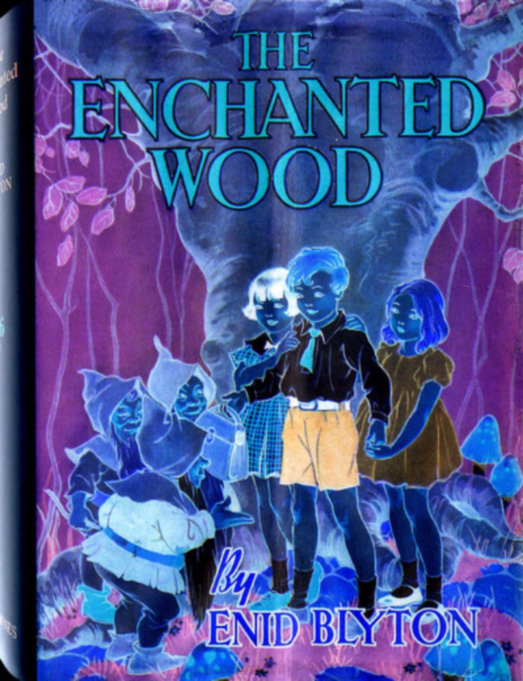 The Enchanted Wood
