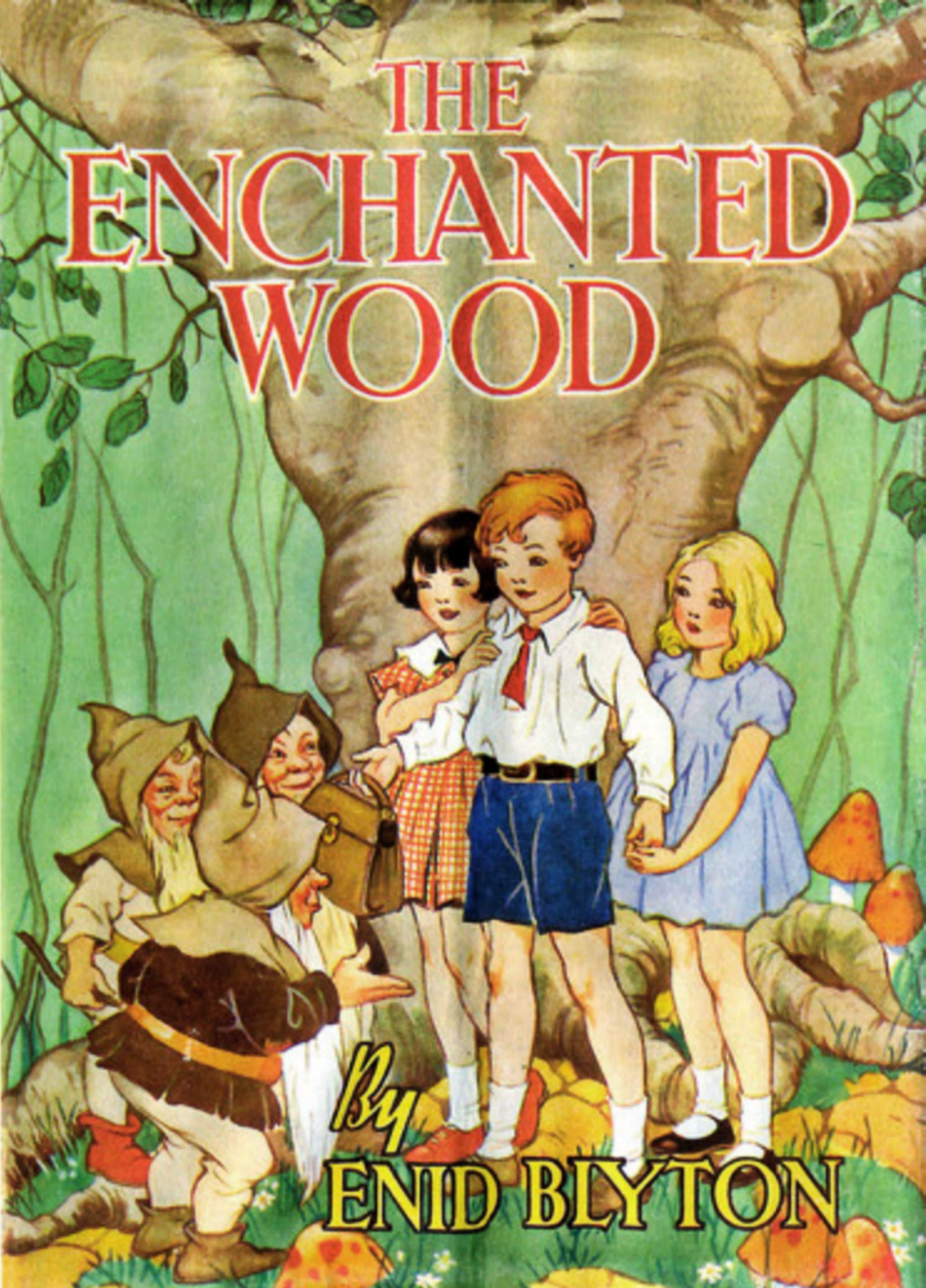 The Enchanted Wood