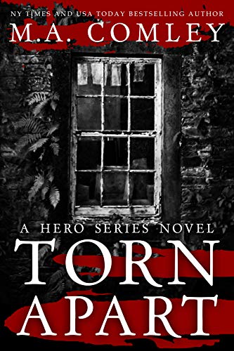 Torn Apart (Hero Series, #1)