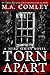 Torn Apart (Hero Series, #1)