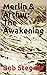 Merlin & Arthur: The Awakening