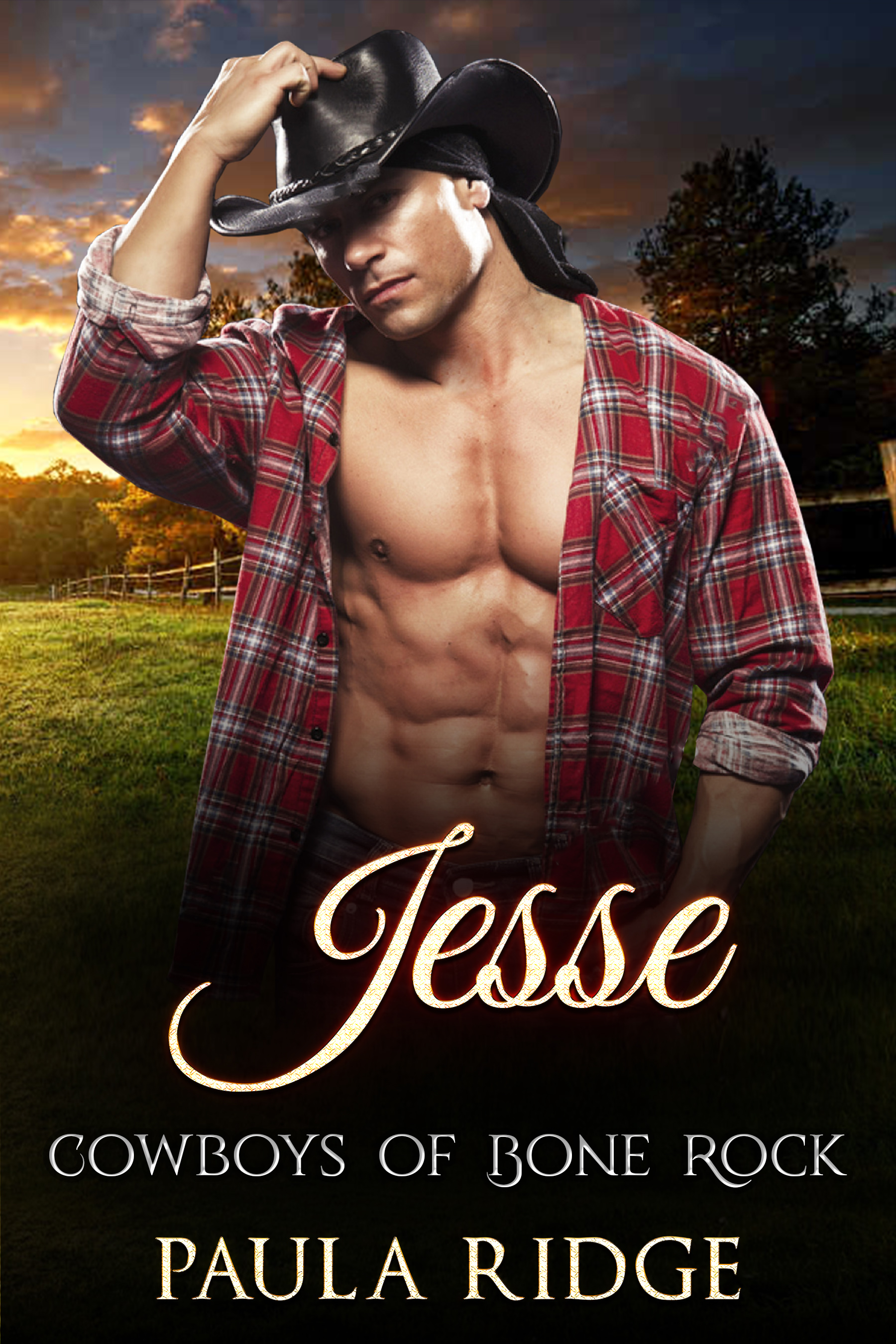 Jesse (Cowboys of Bone Rock #1)