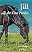 Jill and the Lost Ponies (T...