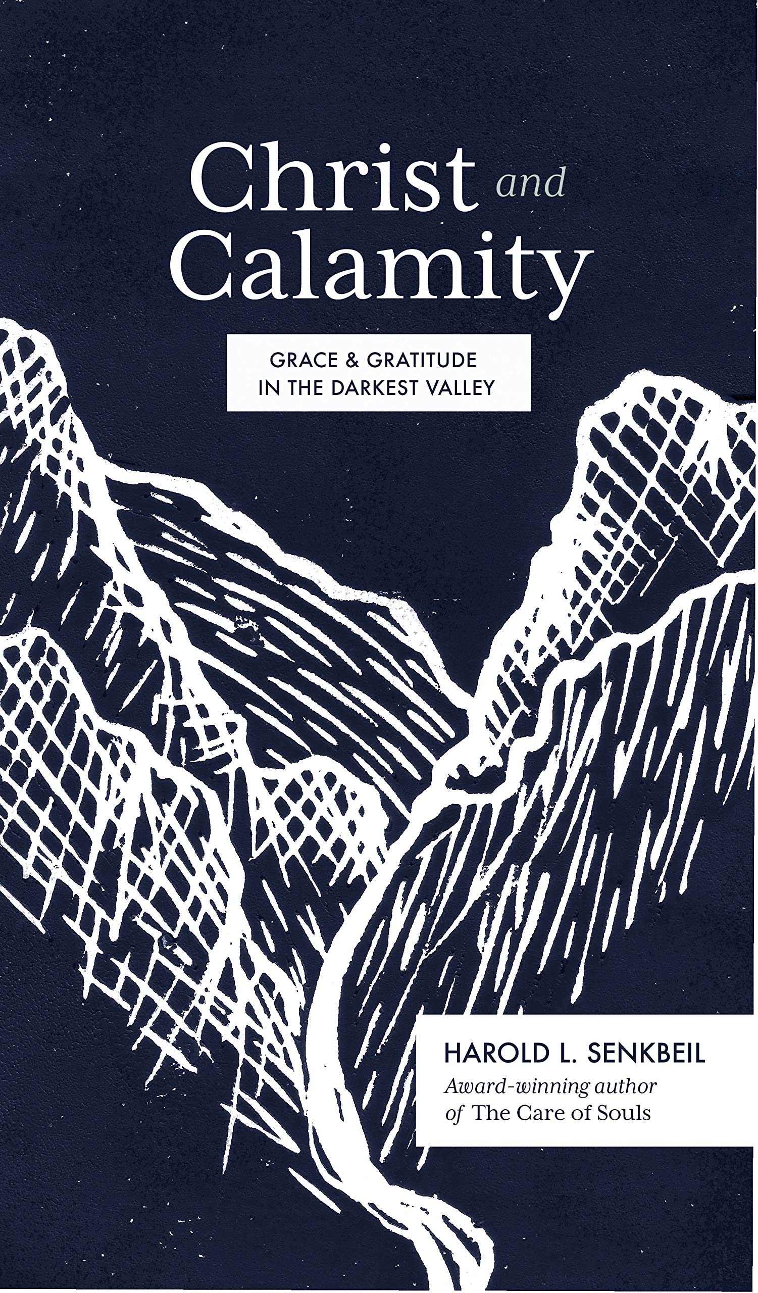 Christ and Calamity: Grace and Gratitude in the Darkest Valley (Kindle Edition)