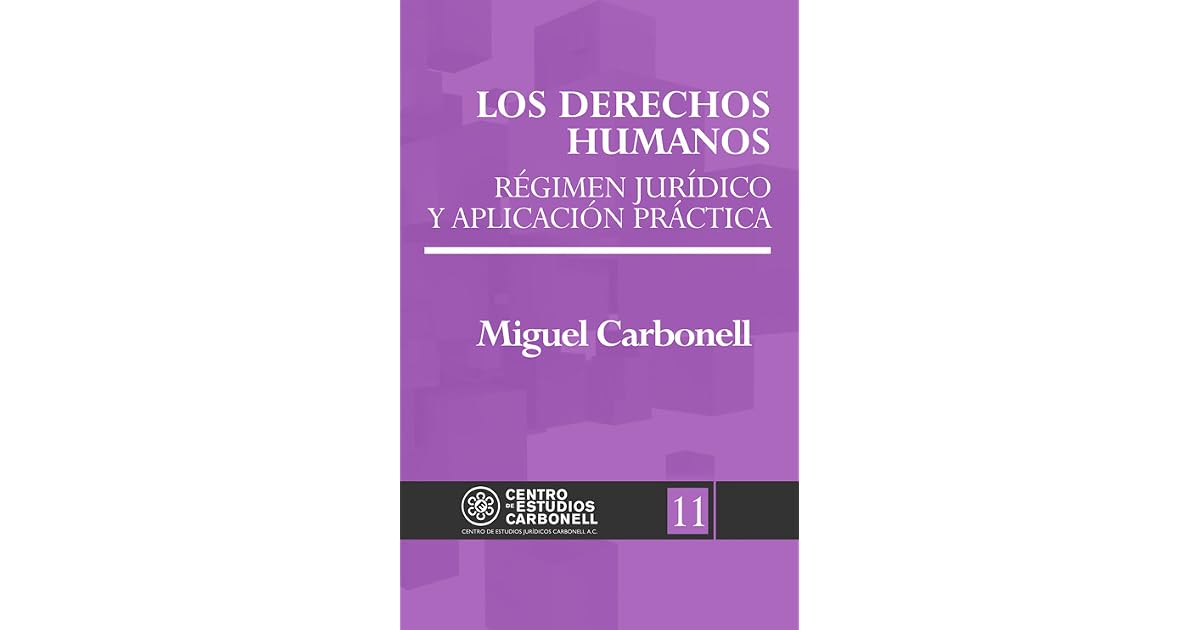 Los Derechos Humanos: Régimen jurídico y aplicación práctica by Miguel