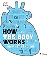 How the Body Work...