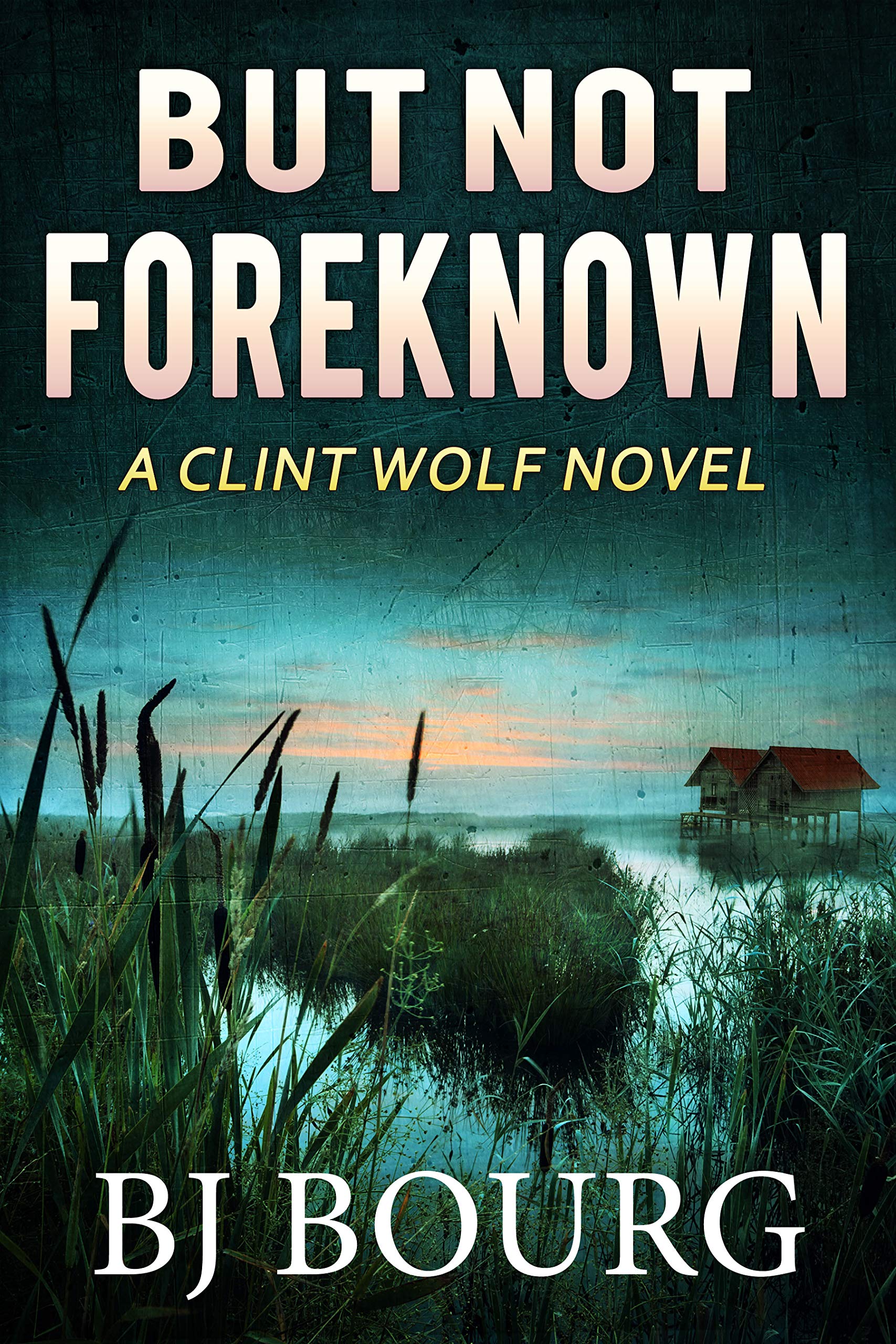 But Not Foreknown (Clint Wolf #15)