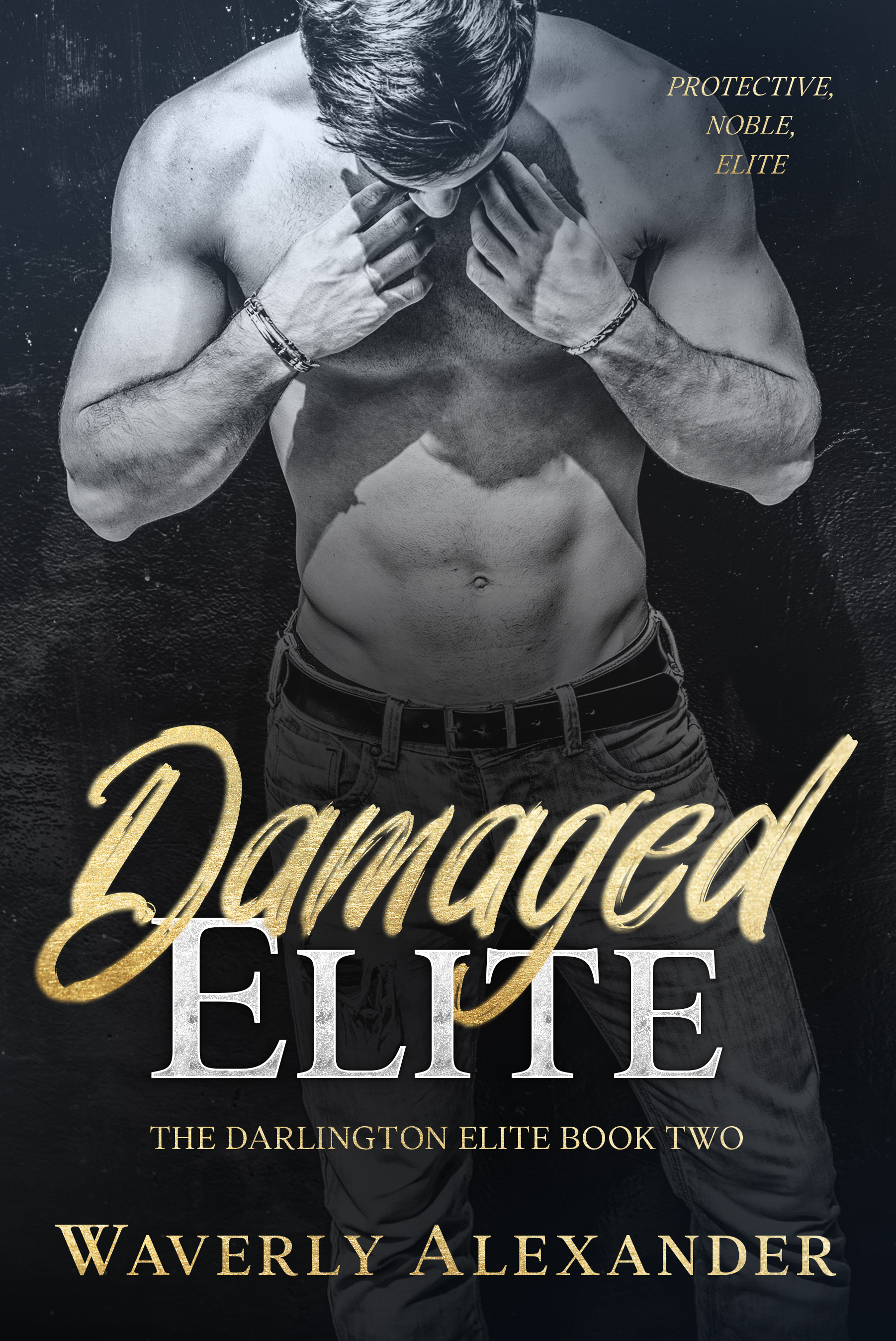 Damaged Elite (The Darlington Elite, #2)
