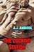 The Locking Station: A Gay Chastity Story