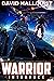 Warrior: Interface (The Sin...