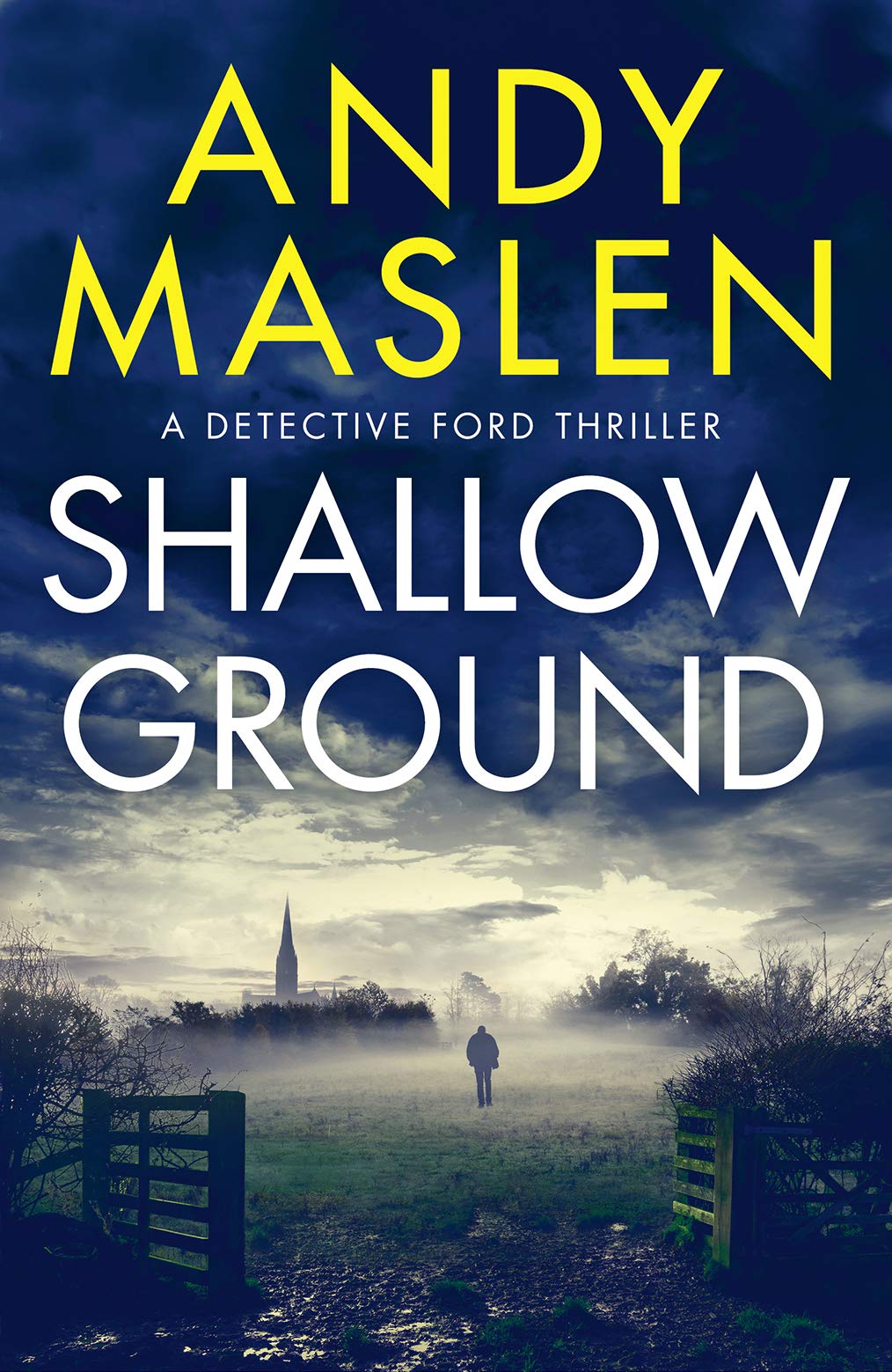 Shallow Ground (DI Henry Ford, #1)
