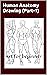 Human Anatomy Drawing (Part-1): Art for beginner