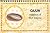 Cajun: Cuisine of the Bayou