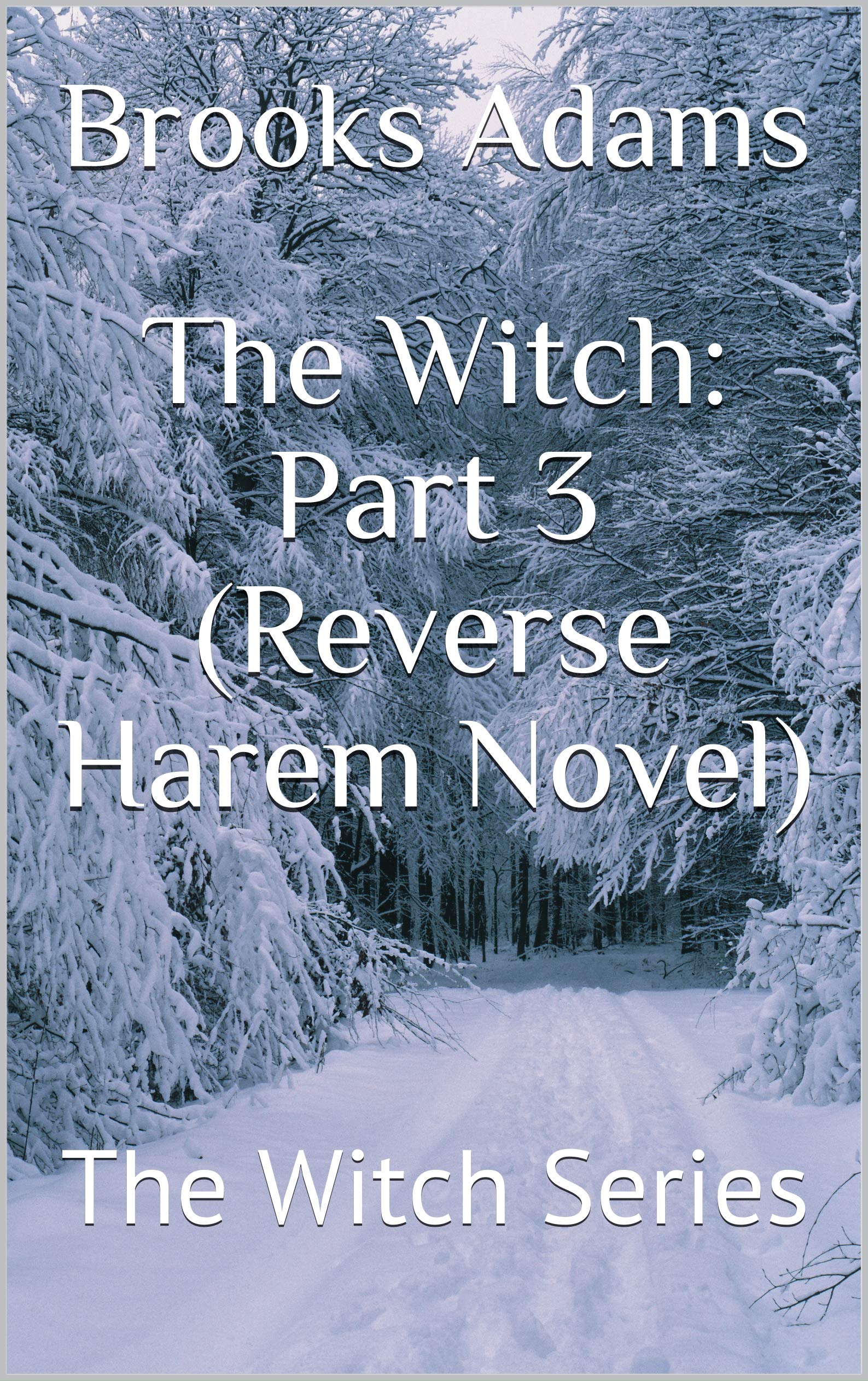 The Witch: Part 3 (Kindle Edition)