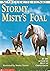 Stormy, Misty's Foal (Misty, #3)